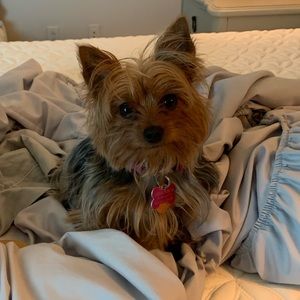 Meet your Posher, Lisa